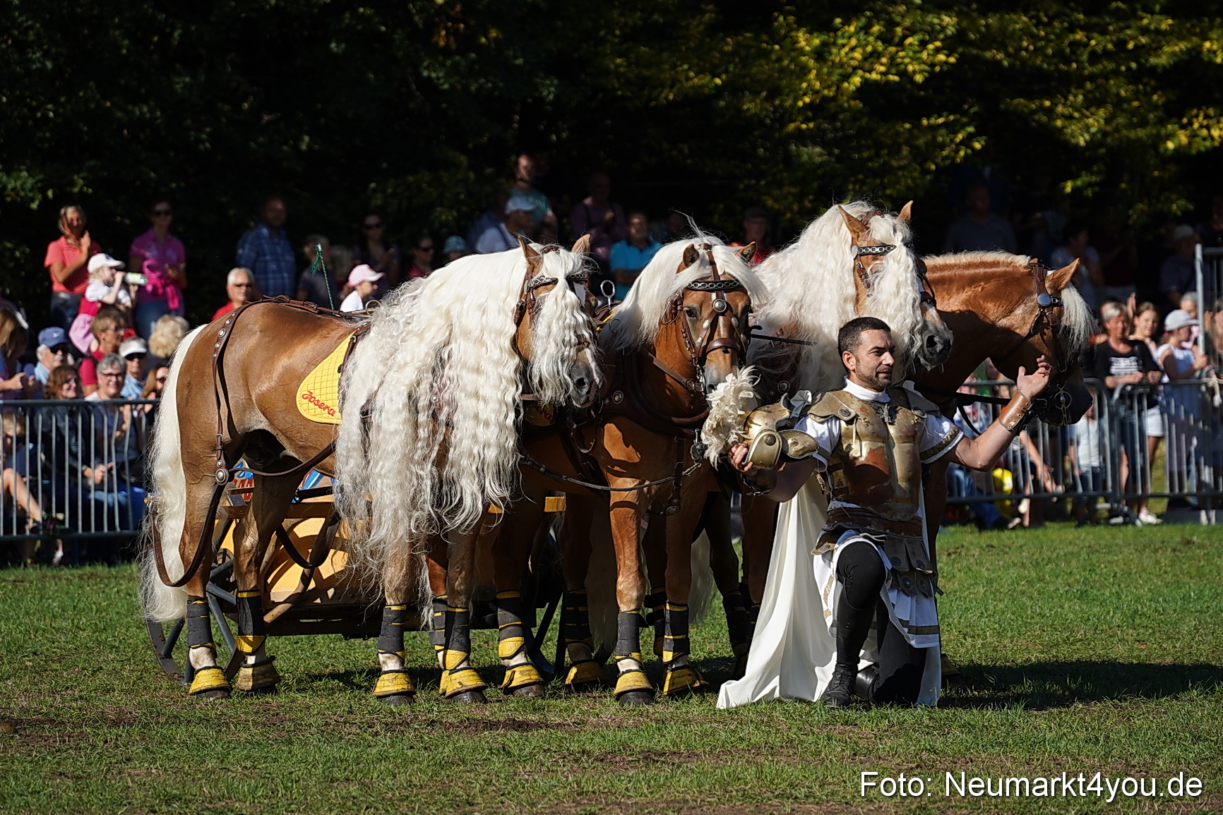 Pferde und Fohlenschau 2022 0032 